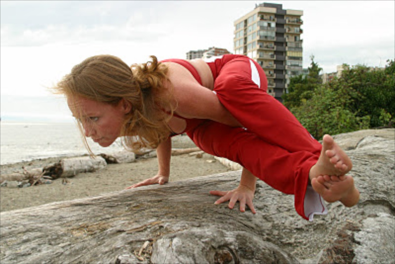 The Yoga Practice